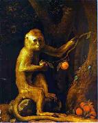 George Stubbs Green Monkey USA oil painting artist